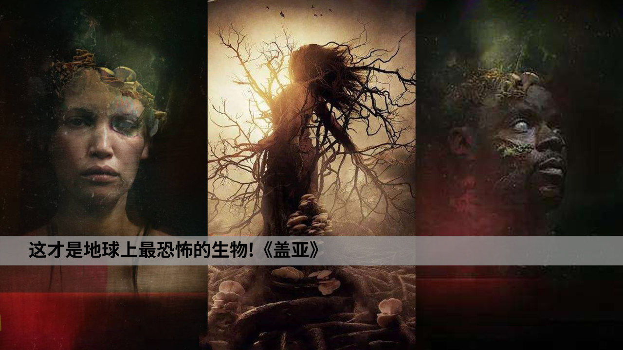 梦解，蛇之缠绕与解脱——探索潜意识中的自我救赎