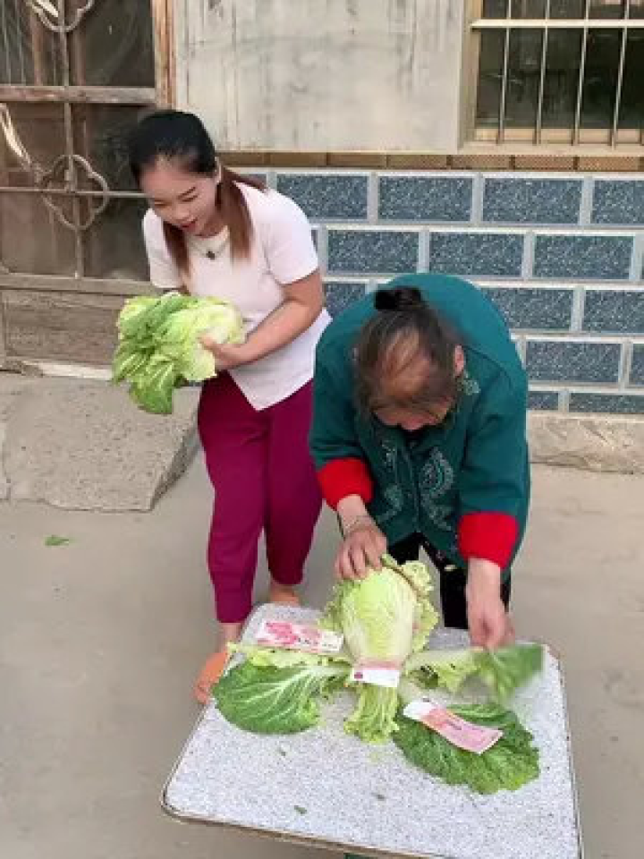 夫妻恶搞白菜视频，夫妻恶搞白菜视频大全