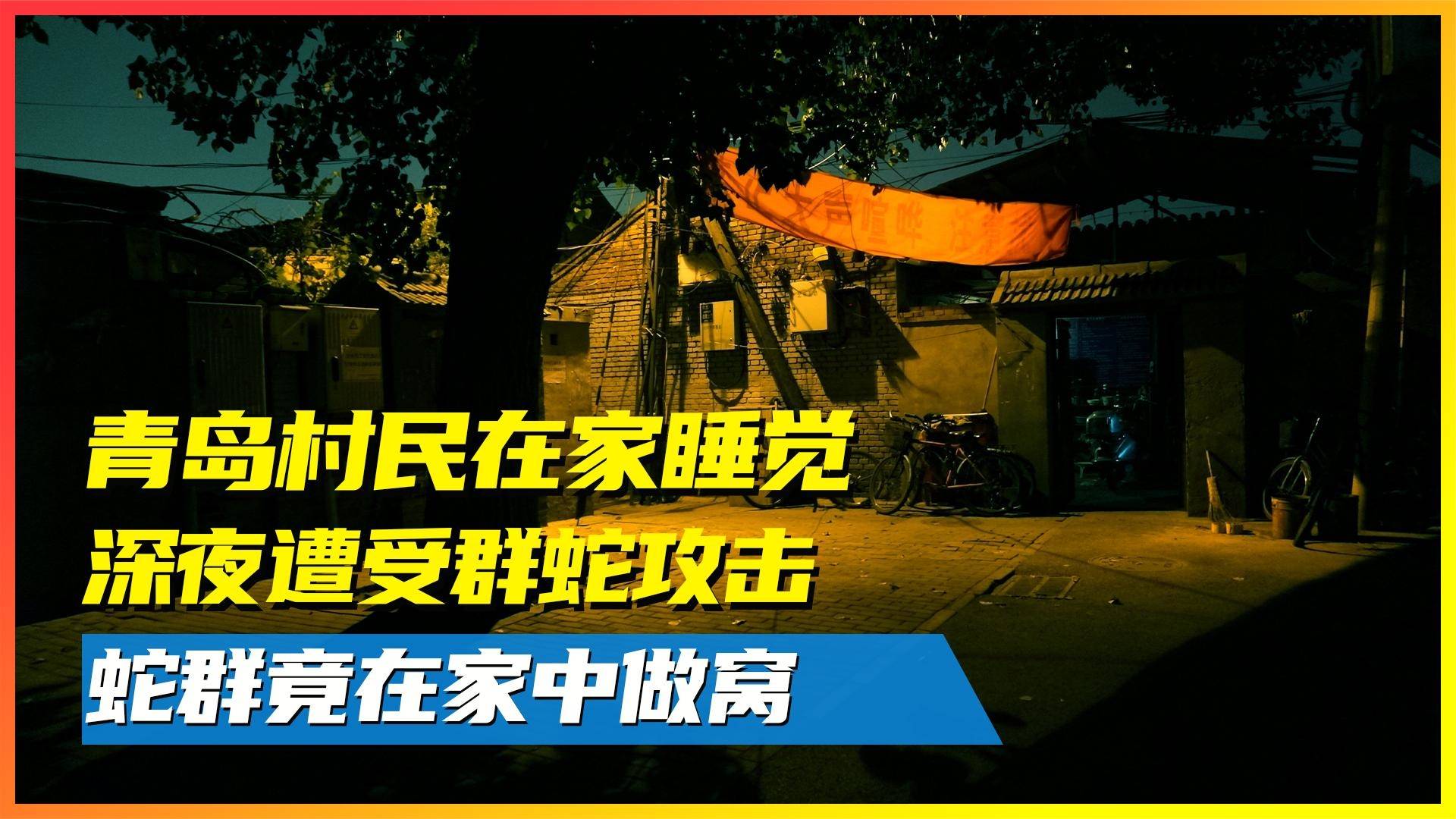 晚上睡觉梦见被蛇咬，潜意识中的警示与启示