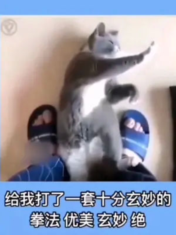 短视频制作搞笑配音，短视频制作搞笑配音软件