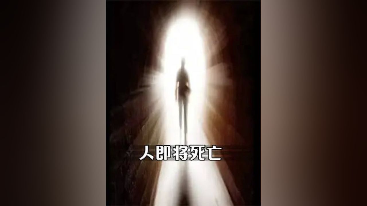 梦见死去的亲人看见一条大黑龙，恐惧背后的深层含义与解析