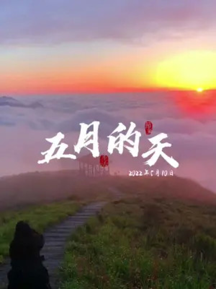 五月的天,刚诞生的夏天 ,满屏都是夏天的味道 武功山