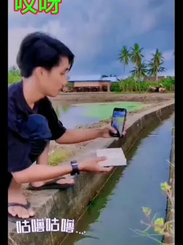 快乐生活留影短视频制作，快乐生活留影短视频制作教程