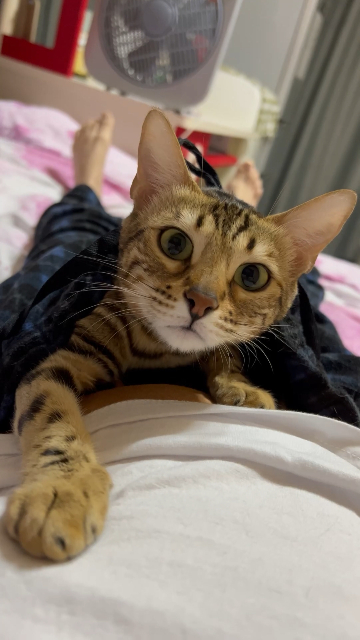 0