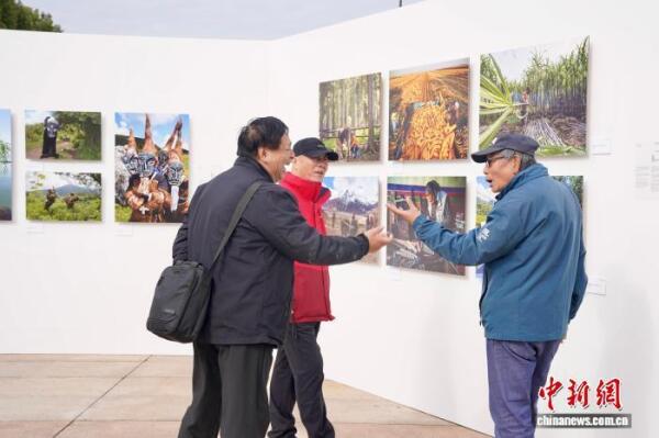 北京国际摄影周2025启幕 凸显国际化与青年视角