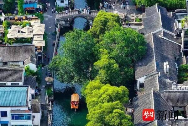 苏州老街区绽放新魅力 二十年精雕细琢注入文化灵魂