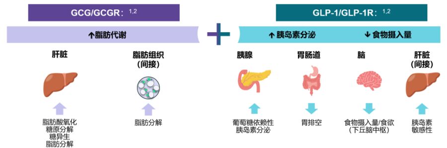 QQ浏览器