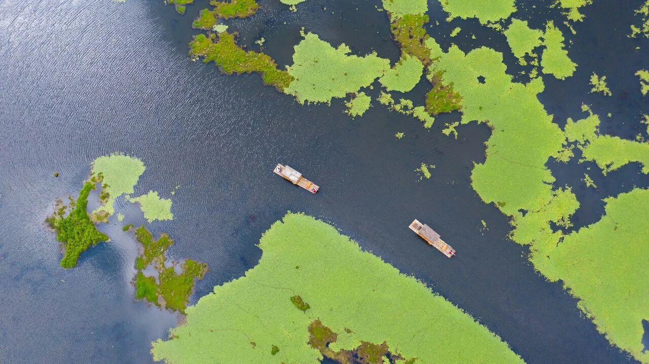 北海湿地