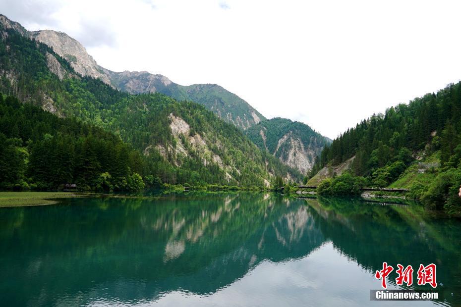 树正群海