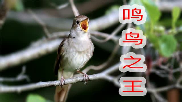 0?fmt=jpg&size=22&h=360&w=640&ppv=1