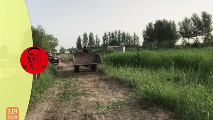 0?fmt=jpg&size=59&h=405&w=720&ppv=1