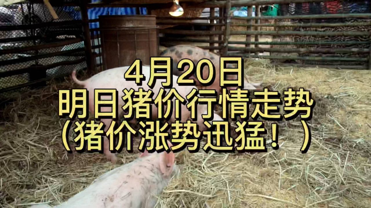 0?fmt=jpg&size=176&h=720&w=1280&ppv=1