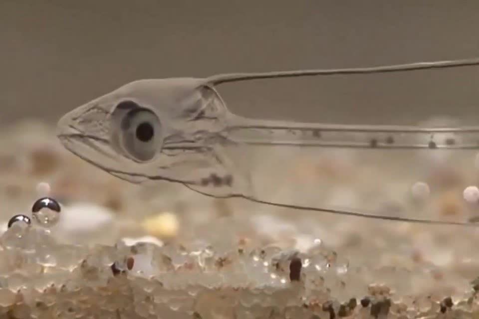 0?fmt=jpg&size=24&h=640&w=960&ppv=1