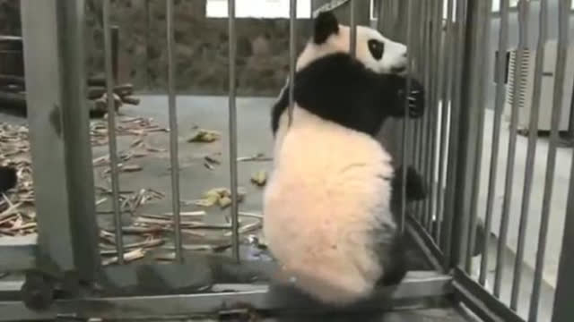 0?fmt=jpg&size=22&h=360&w=640&ppv=1