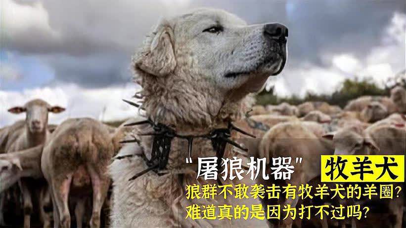 0?fmt=jpg&size=46&h=462&w=821&ppv=1