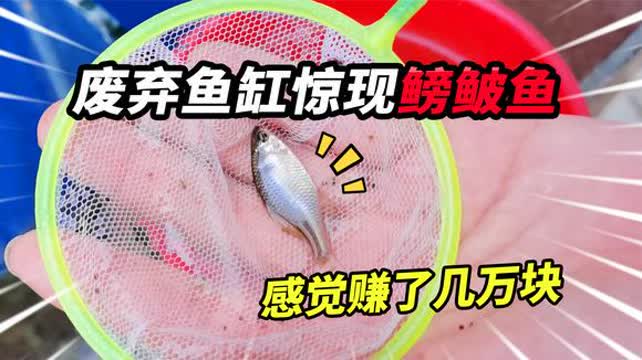 0?fmt=jpg&size=37&h=360&w=642&ppv=1