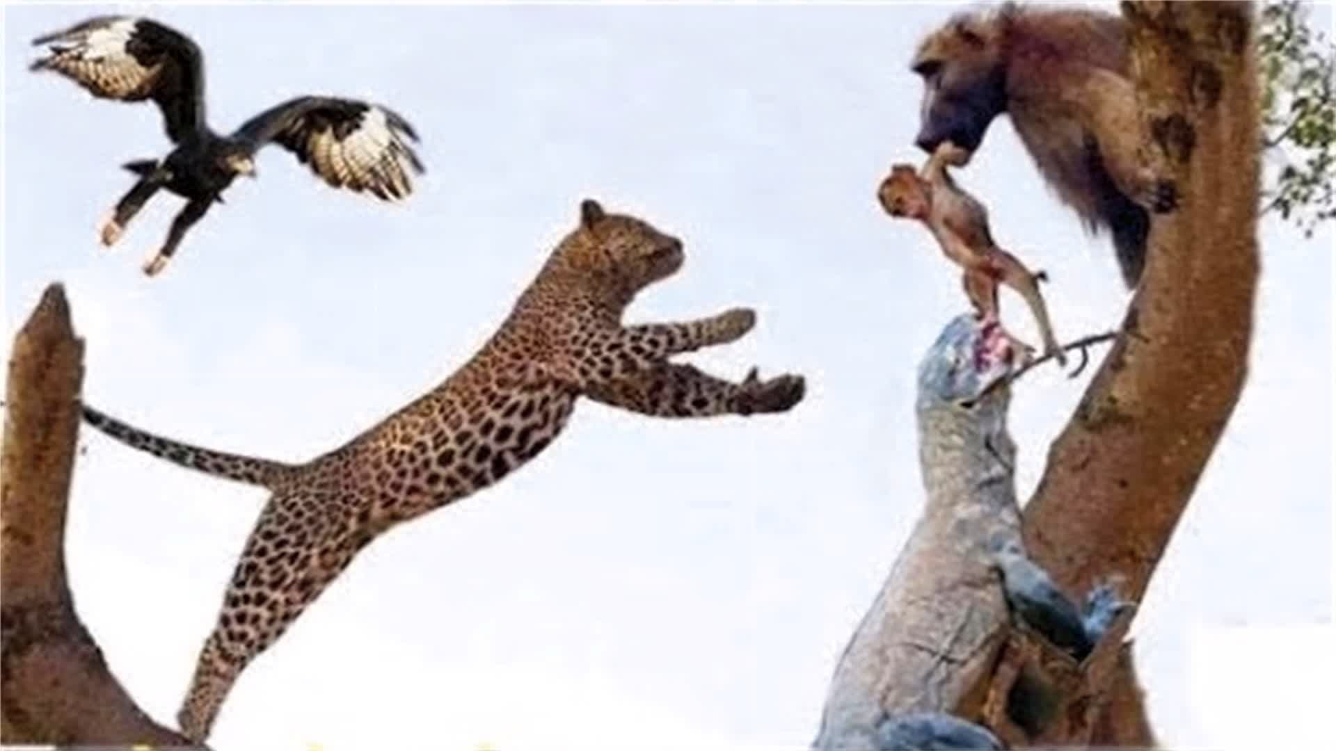 0?fmt=jpg&size=74&h=1080&w=1920&ppv=1