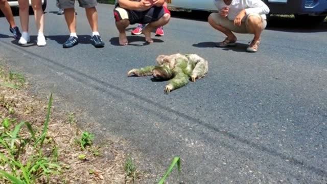 噩梦解析，梦到很多小孩从一个大轮子上往下掉纷纷摔死地下全是小孩血淋淋的