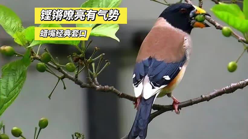 0?fmt=jpg&size=35&h=462&w=821&ppv=1