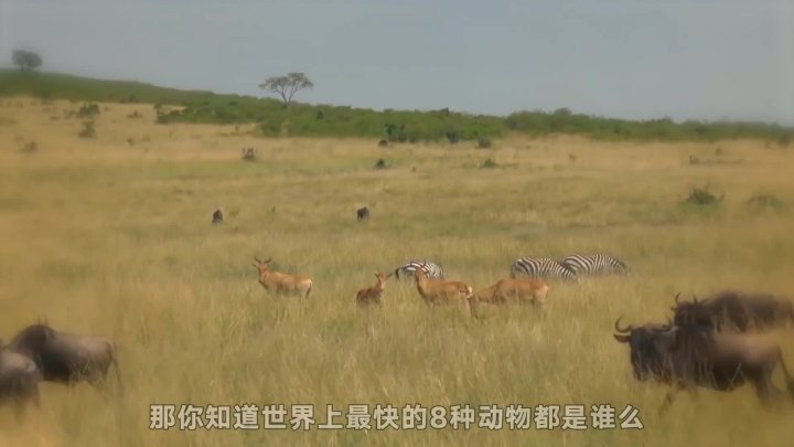 0?fmt=jpg&size=33&h=405&w=720&ppv=1