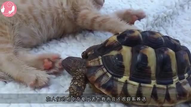 0?fmt=jpg&size=24&h=360&w=640&ppv=1