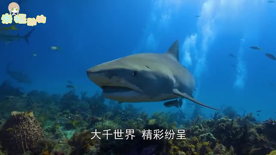 0?fmt=jpg&size=33&h=540&w=960&ppv=1