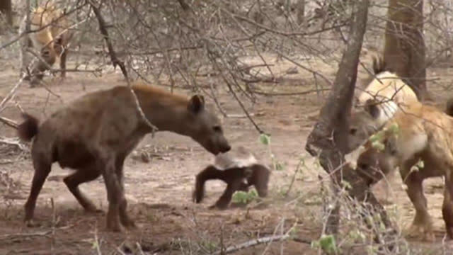 0?fmt=jpg&size=34&h=360&w=640&ppv=1