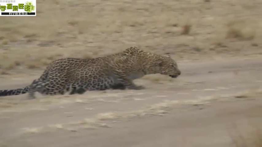 0?fmt=jpg&size=22&h=480&w=854&ppv=1