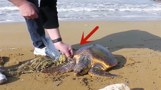 0?fmt=jpg&size=38&h=360&w=640&ppv=1