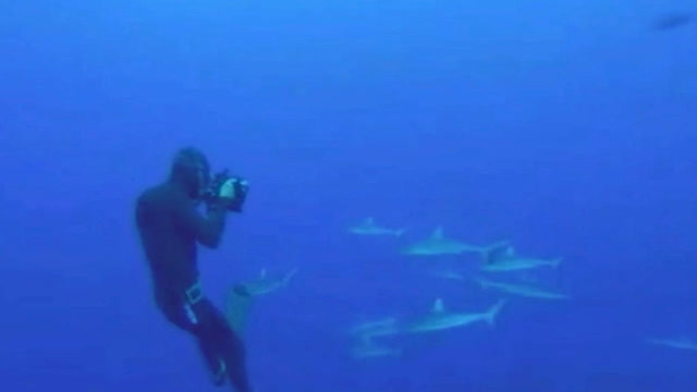 0?fmt=jpg&size=16&h=360&w=640&ppv=1