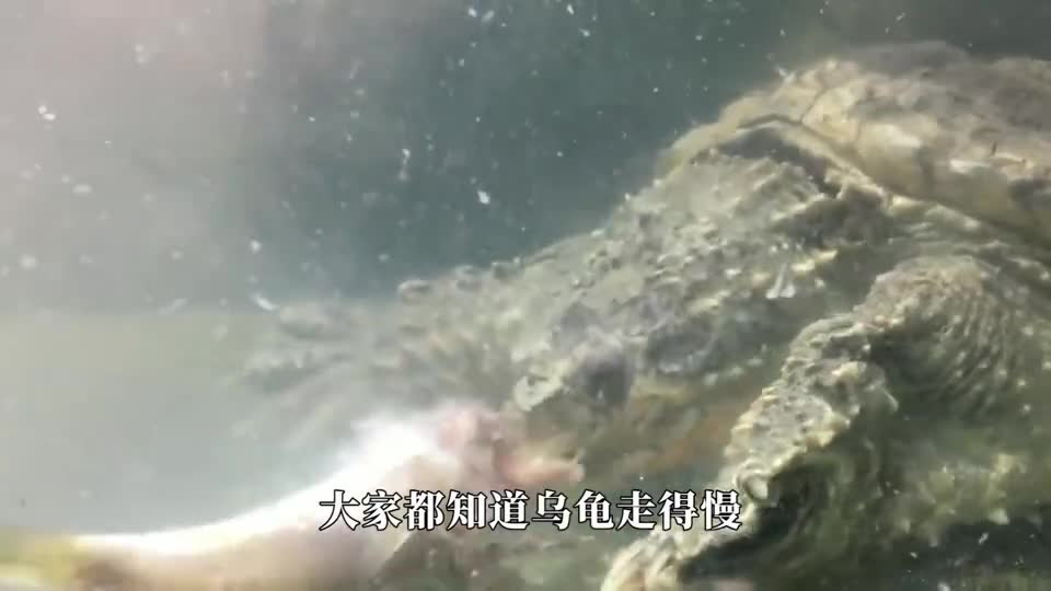 0?fmt=jpg&size=29&h=540&w=960&ppv=1