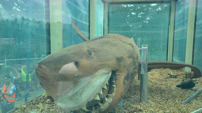 0?fmt=jpg&size=33&h=377&w=672&ppv=1