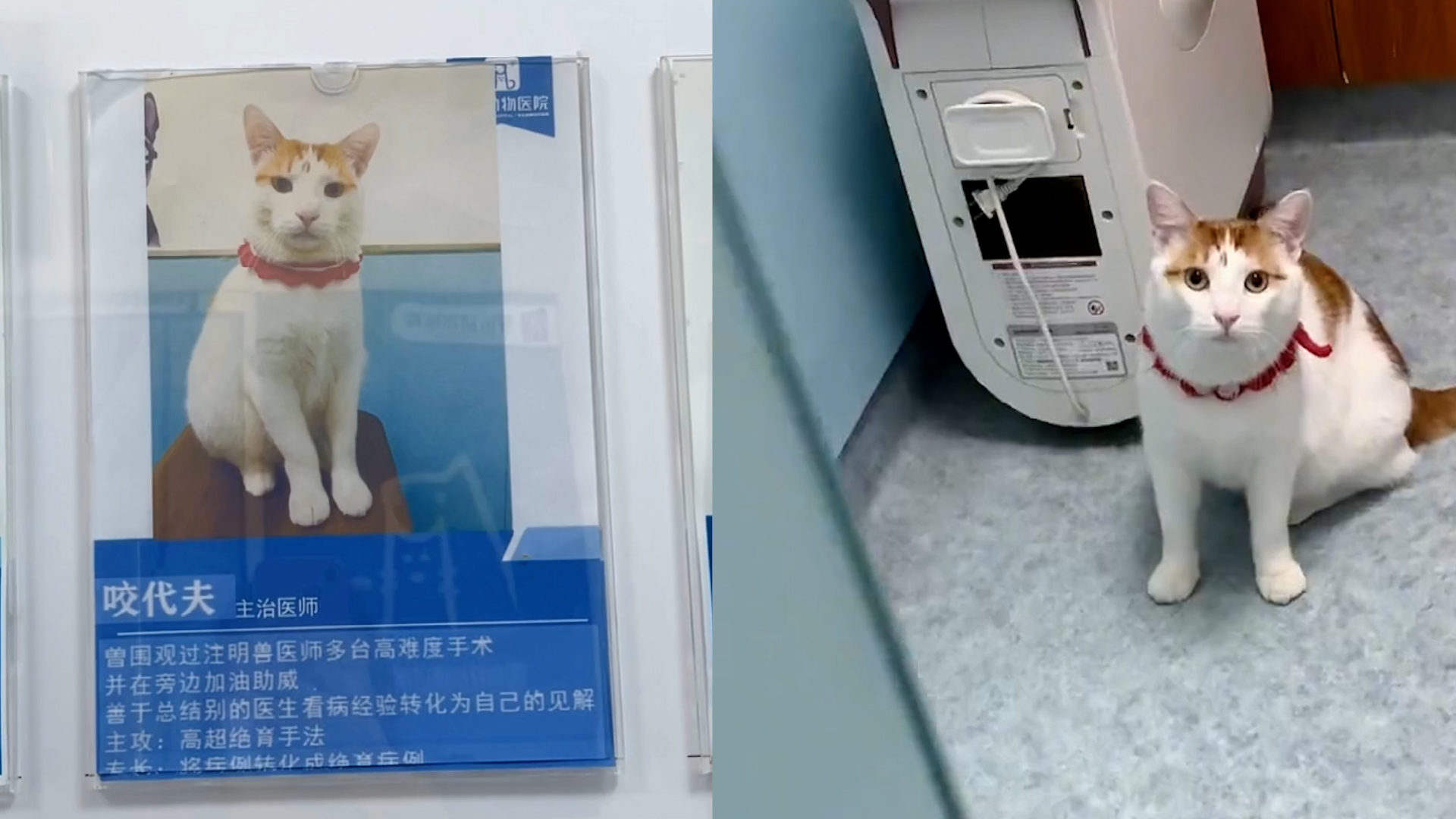 0?fmt=jpg&size=180&h=1080&w=1920&ppv=1