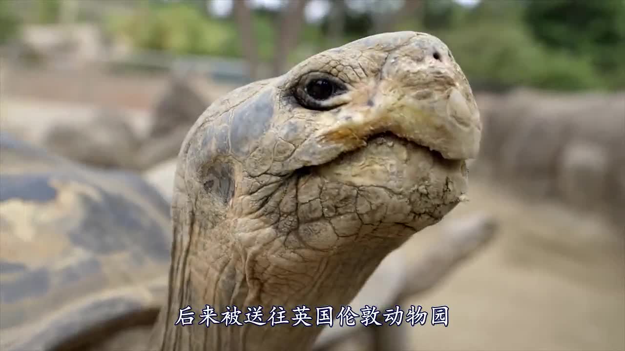 0?fmt=jpg&size=54&h=720&w=1280&ppv=1