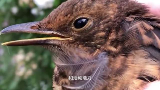 0?fmt=jpg&size=28&h=360&w=640&ppv=1