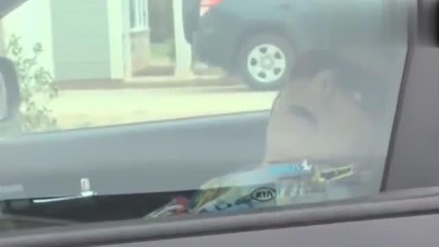 灵车整人恶搞视频，灵车整人恶搞视频大全