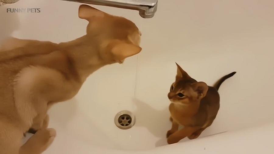 0