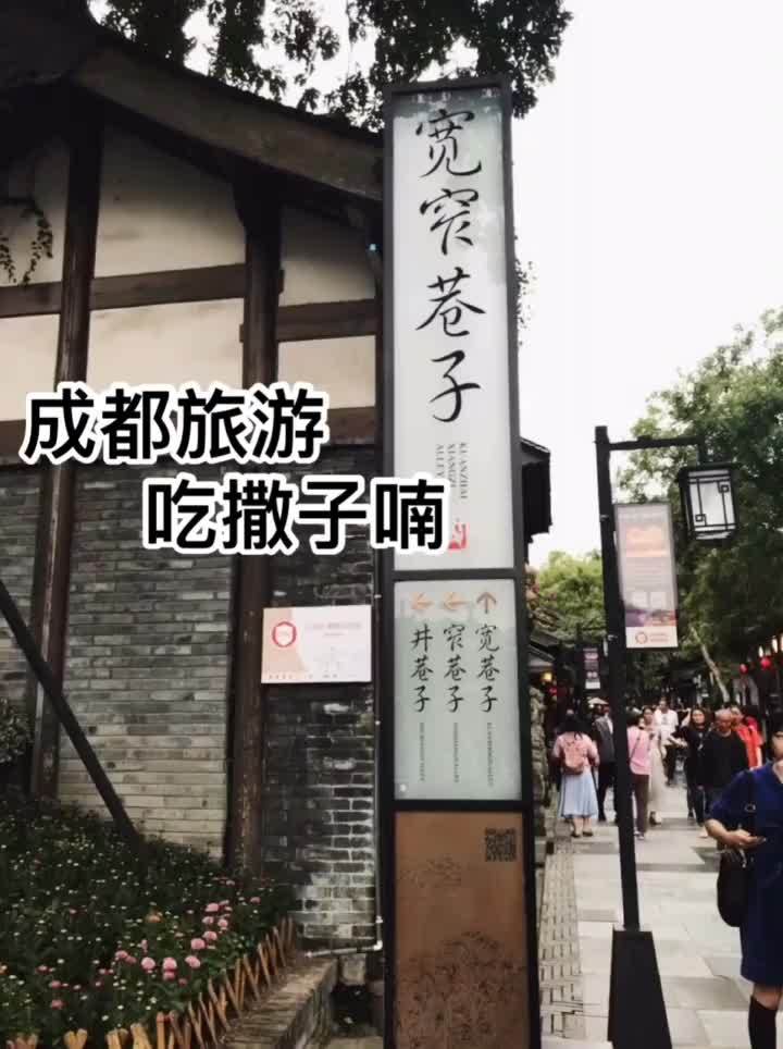 成都游玩攻略成人，成都游玩攻略三日游