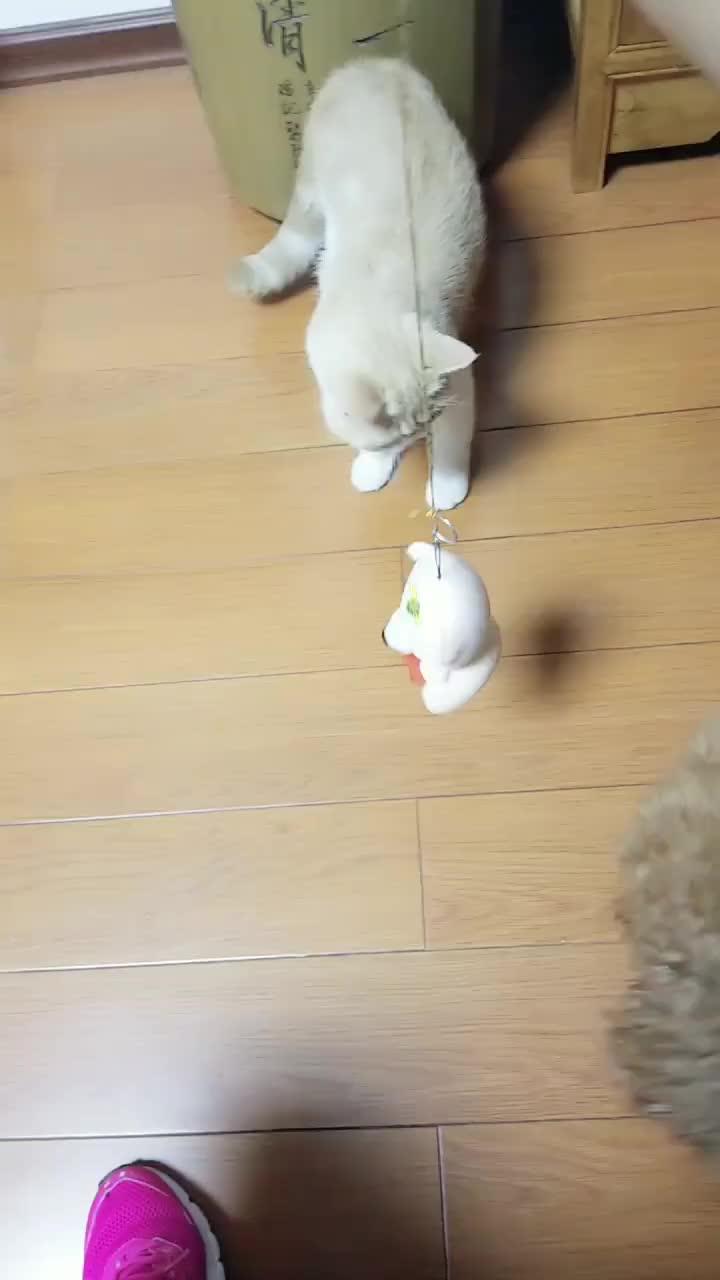 0