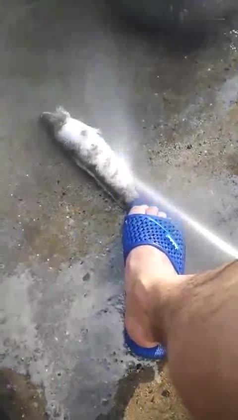 0