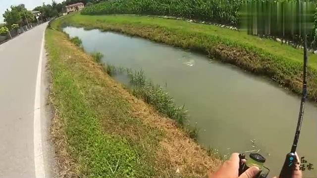 梦境启示，浑水大水沟中的钓鱼之旅与心灵深处的收获