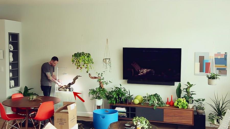 你是不是也正为装修发愁？别急，这篇内容专为你量身打造！