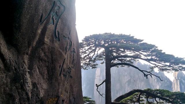 黄山四绝是什么，黄山四绝是什么？