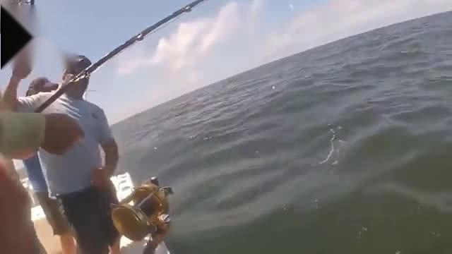 免费观看高清钓鱼短剧视频的精彩世界，免费高清钓鱼短剧视频的魅力世界