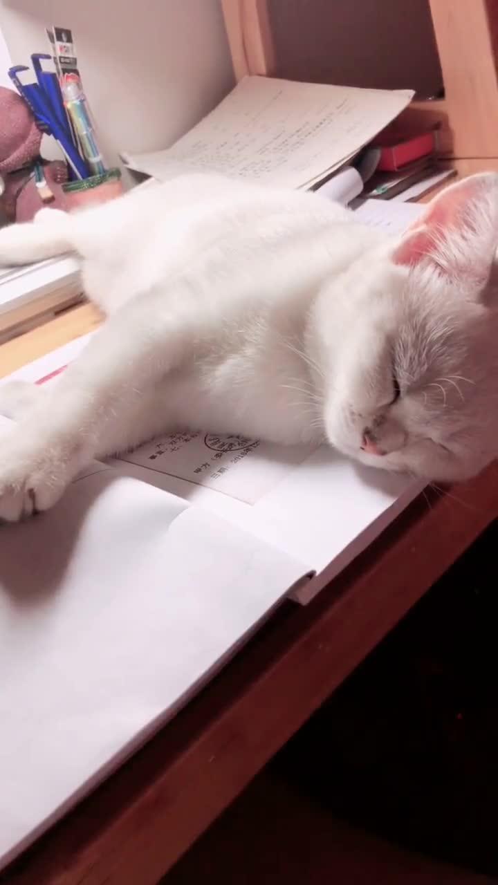 0