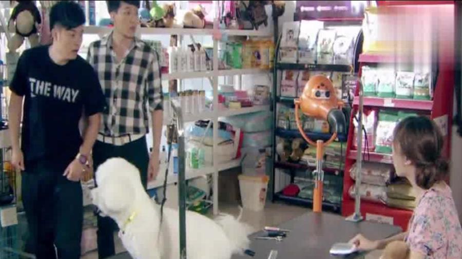 萌宠事业合伙人：宠物店创业员工的进阶指南