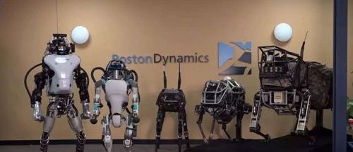 target robot dog
