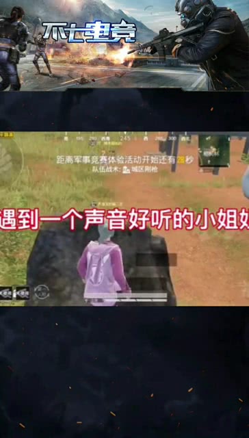 梦遇狐影，与姐姐共度的惊险一幕——解析梦中狐狸与枪击的象征意义