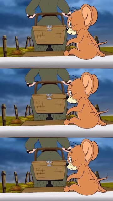 梦见老鼠，解梦之旅与心理寓意的深度探索