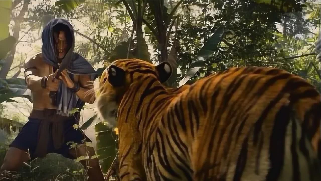 梦境之谜，解析梦见老虎走向自己的深层含义与心理启示